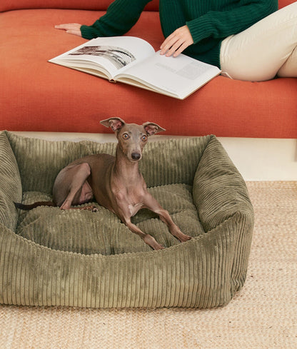 Green Corduroy Dog Bed