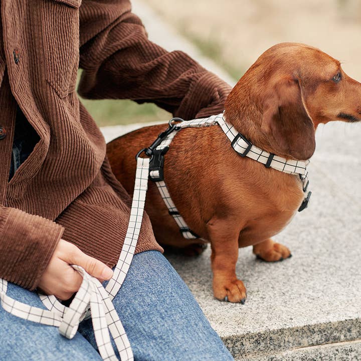 Recycled Pet Harness