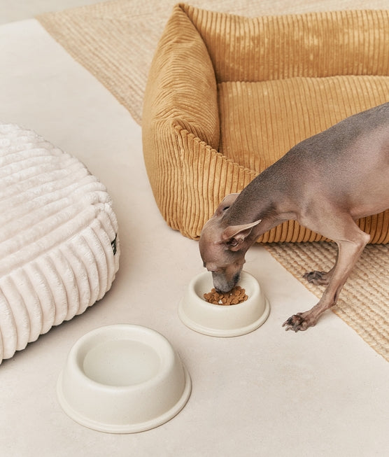 White Ceramic Dog Feeder Bowl