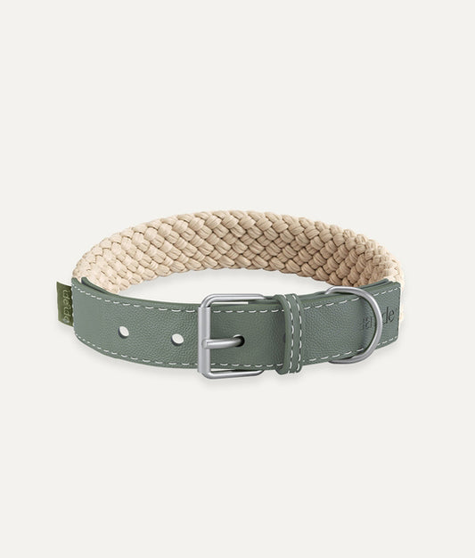 Green Vegan Leather Dog Collar