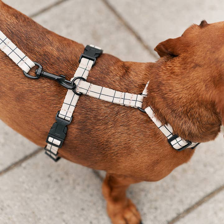 Recycled Pet Harness