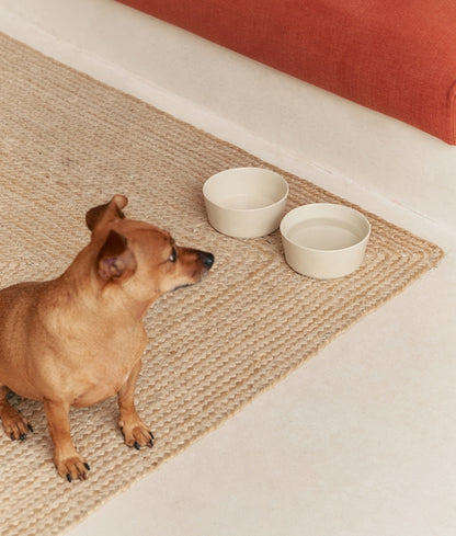 White Ceramic Dog Feeding Bowl