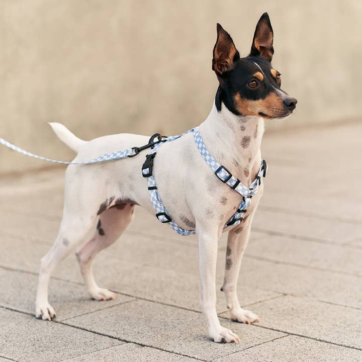 Vichy Blue Design Recycled Pet Harness