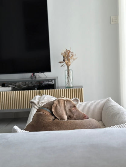 White Corduroy Dog Bed