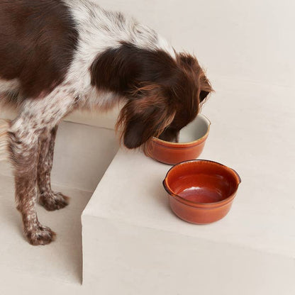 Brown Ceramic Dog Feeder Bowl